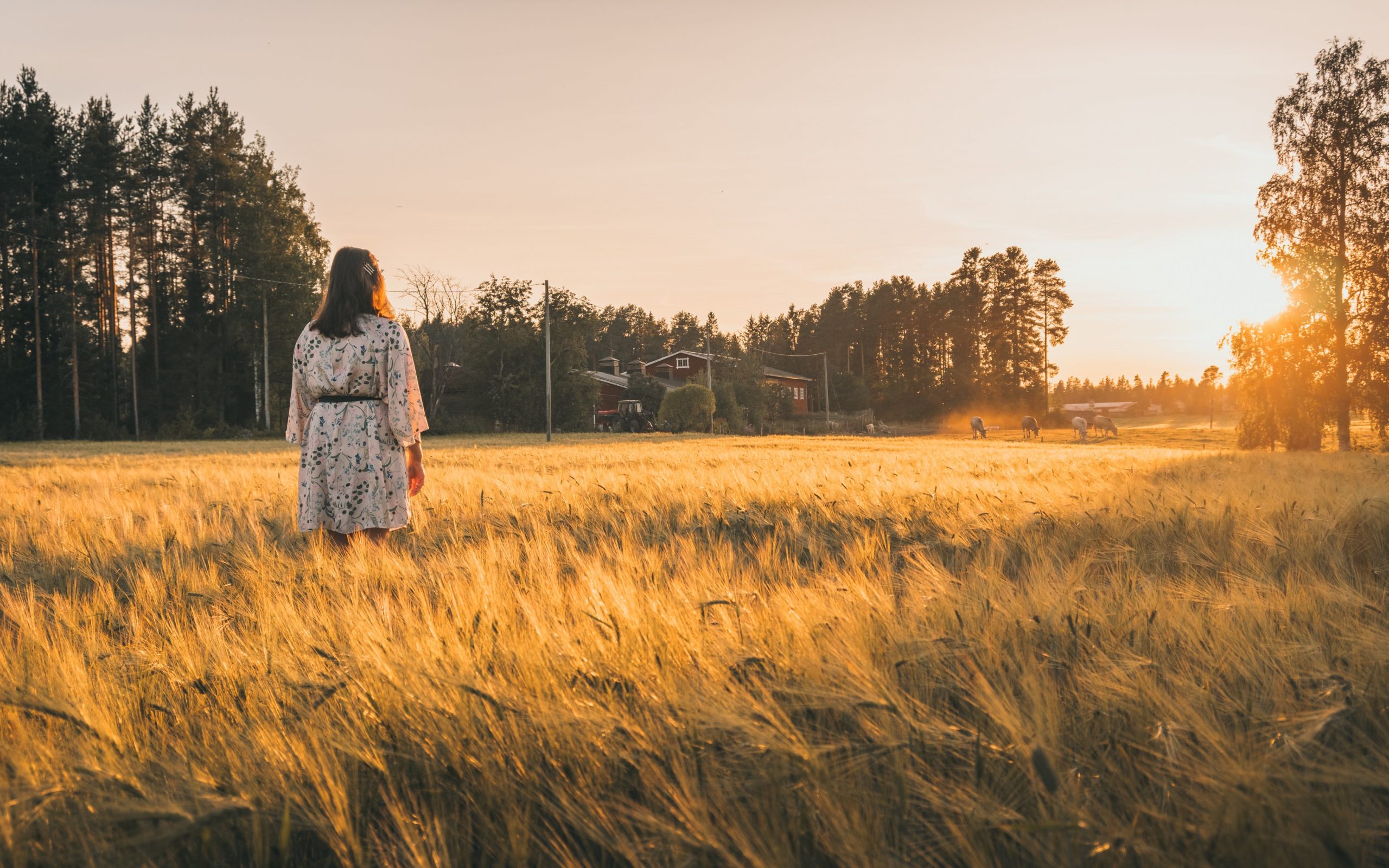 Nainen seisoo pellolla selin kameraan ja katsoo kaunista auringonlaskua